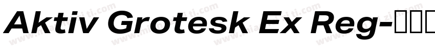 Aktiv Grotesk Ex Reg字体转换